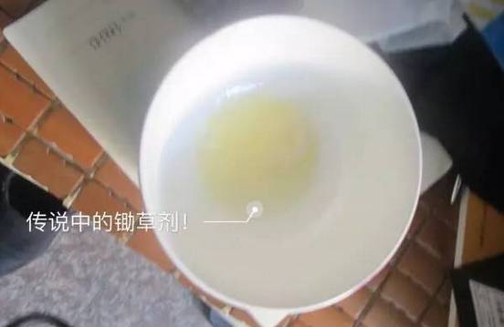 这对福建婆媳吵架,儿子抢喝农药身亡!母亲跟着服毒,而媳妇正怀孕……-怀孕期