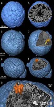 图片[8]-我国筹建第四代同步辐射光源 这种大科学装置有什么用 - 如意-如意