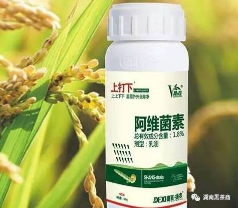 天天吃农药，却不知道喝黑茶排毒