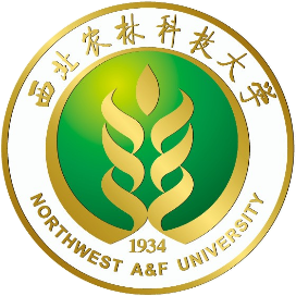 西农人才