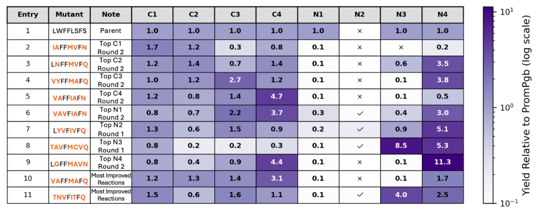 Fig. Table 1. 预测文库中代表性变体对8个ITR的产率倍数热图（相对PromPgb的log-fold变化），行2-9为各反应的最佳变体，行10-11为改善反应数最多的两个