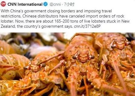 龙虾樱桃没人吃 景点空荡荡 连救命药都没了! 中国停工 老外急疯!