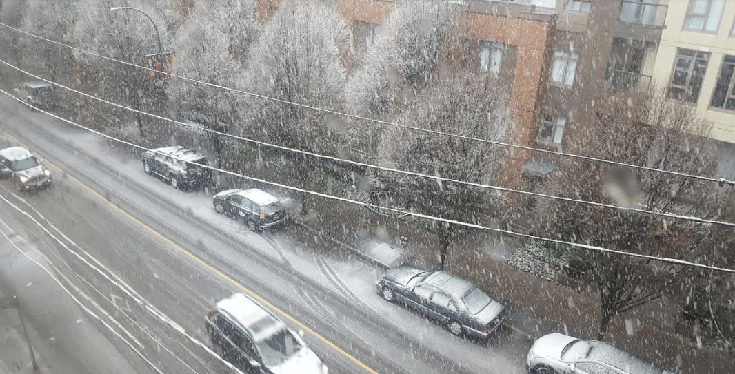 警报！雨雪同时侵袭大温36小时！20cm降雪+冻雨 出门一定要小心