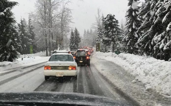 警报！雨雪同时侵袭大温36小时！20cm降雪+冻雨 出门一定要小心