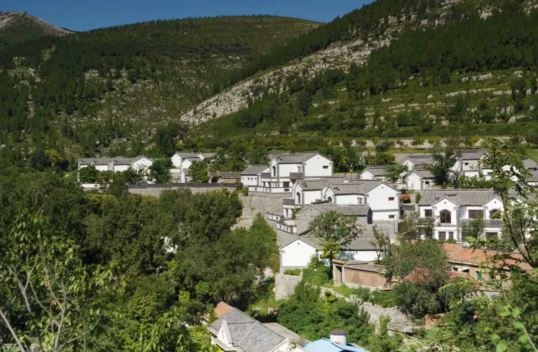 乡村路上阔步行