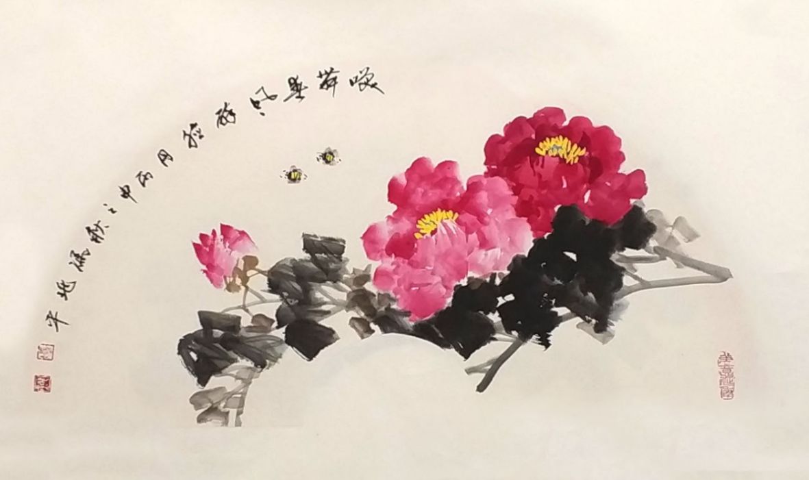 牡丹   