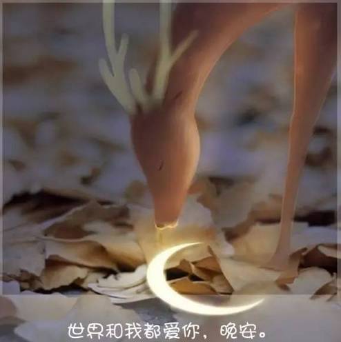 晚安曲王菲《笑忘书》,感动得要哭