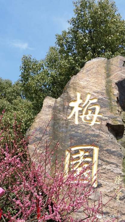 春天,从梅园开始!