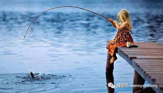 7月1日起多伦多免费钓鱼！钓鱼秘笈大曝光！