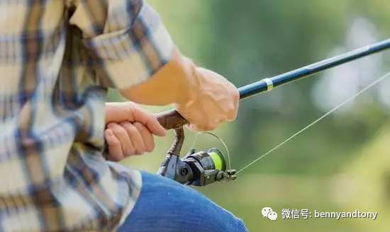 7月1日起多伦多免费钓鱼！钓鱼秘笈大曝光！