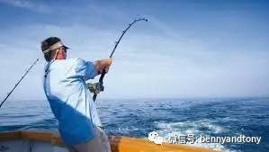 7月1日起多伦多免费钓鱼！钓鱼秘笈大曝光！