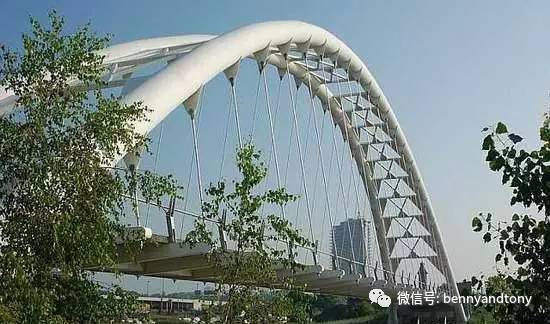 7月1日起多伦多免费钓鱼！钓鱼秘笈大曝光！