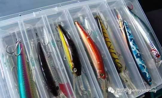 7月1日起多伦多免费钓鱼！钓鱼秘笈大曝光！