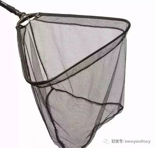 7月1日起多伦多免费钓鱼！钓鱼秘笈大曝光！