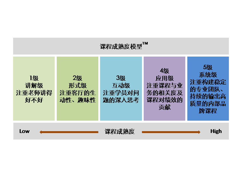 图表16:课程成熟度模型