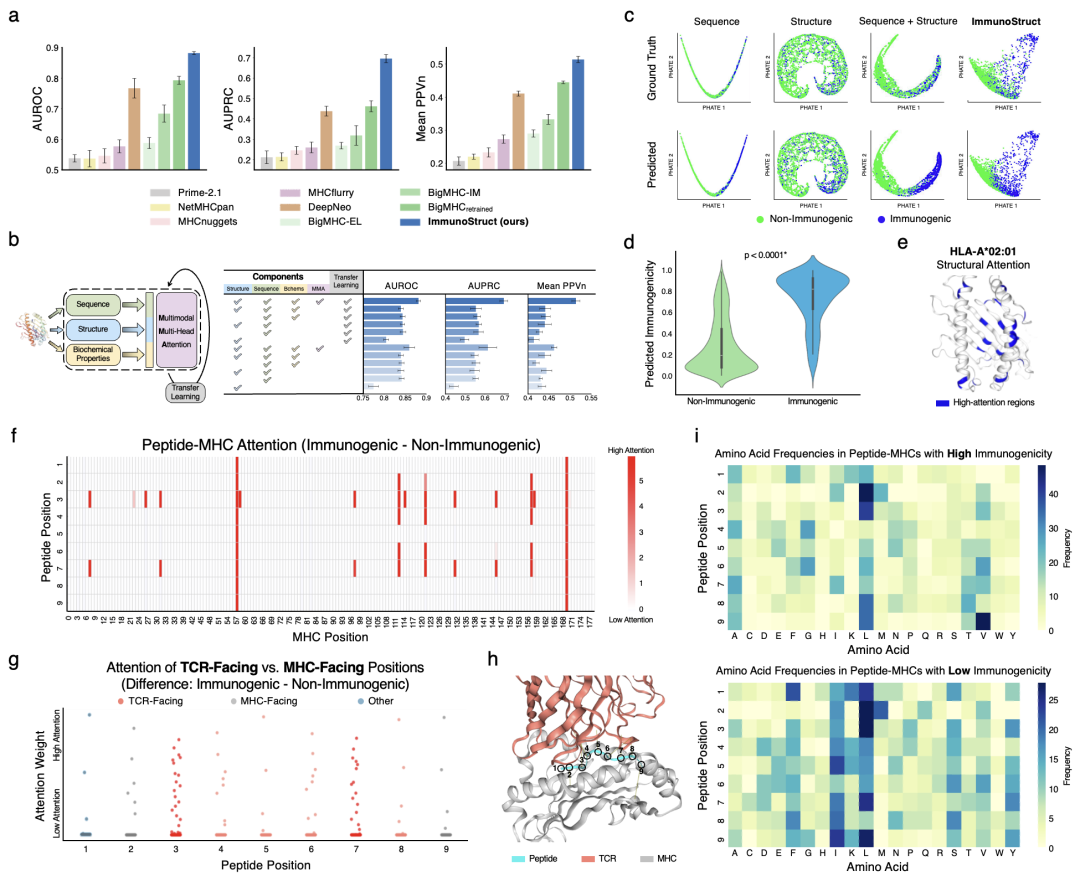 ImmunoStruct_results_IEDB.png