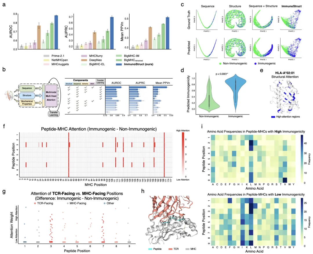 ImmunoStruct_results_IEDB.png