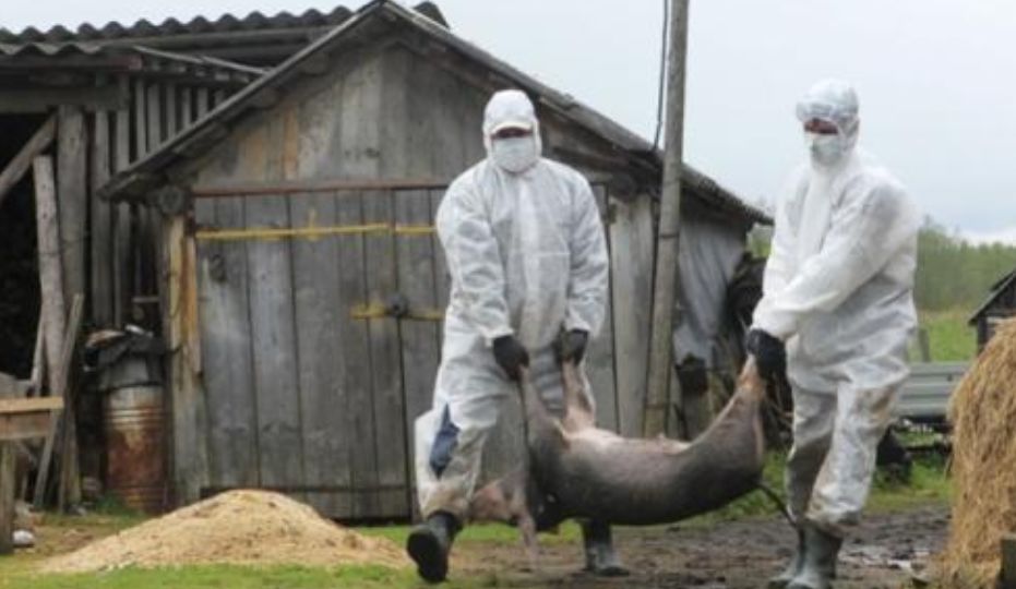 去年12月的无人机投放病毒案件应重新审理