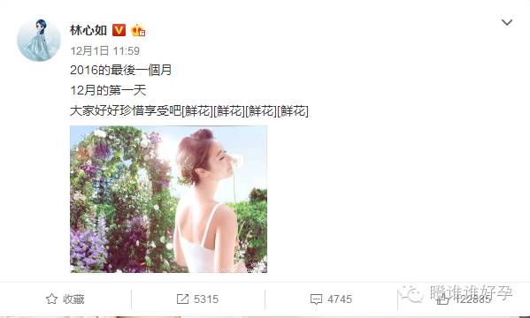 面对恶毒中伤,怀孕的她漂亮回击!向林心如学孕妇如何气场1米8-怀孕期