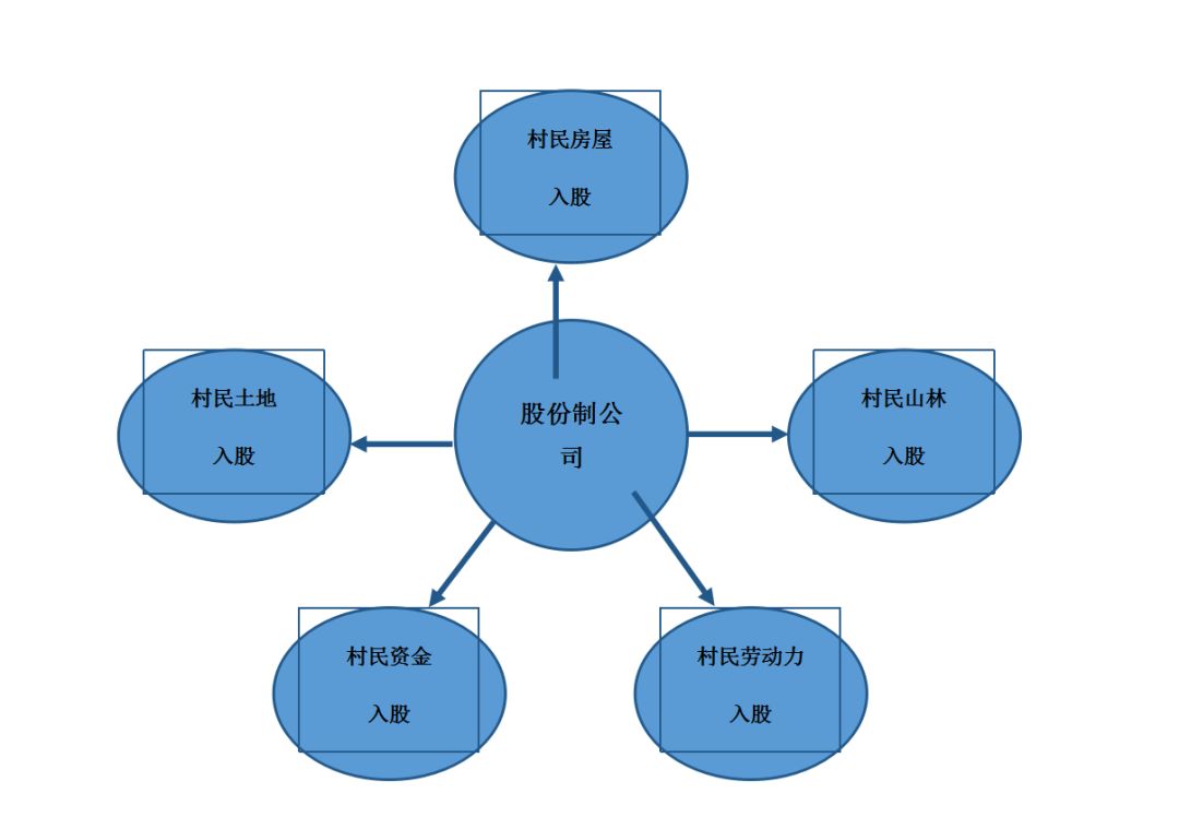 到后来创新采用"全民入股 公司化运营"的新型农村集体经济发展模式