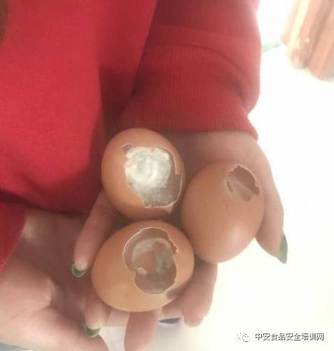 食品经营安全培训内容_幼儿园食品安全培训记录内容_仂儿园安全教育培训记录内容