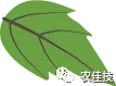 640?wx_fmt=png&tp=webp&wxfrom=5&wx_lazy=