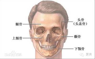 比起高圆圆怀孕,我更关心她是怎么做到37岁还如此耐老?-怀孕期