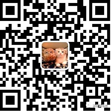 窃读记中的窃读是什么意思_entertainment是什么意思?怎么读_读时是一用时是二谜底