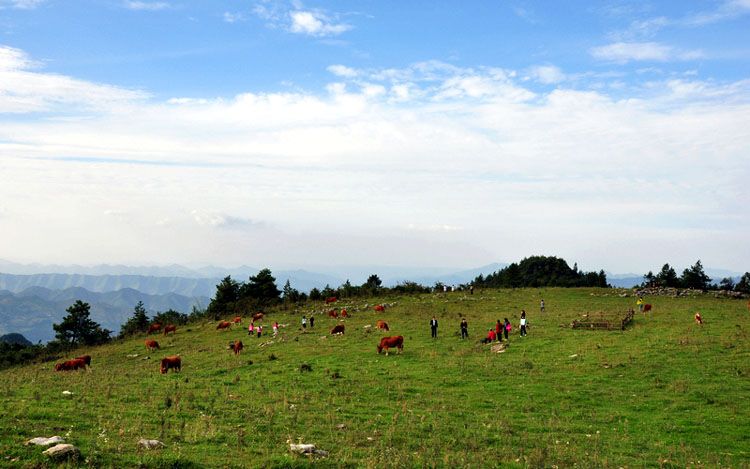 岐山草场