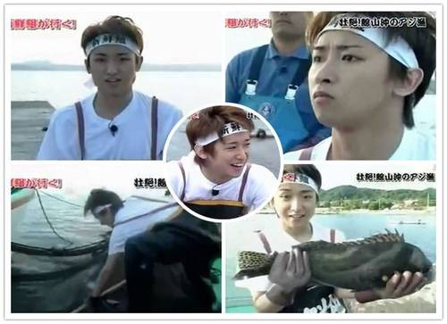 鱼线道系和子系的区别_鱼系_系鱼川真柏盆景的养护