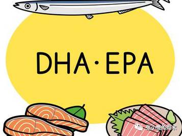 孕妇DHA哪个品牌好?11款产品对比教你怎么选! 孕妇DHA哪个品牌好?11款产品对比教你怎么选!