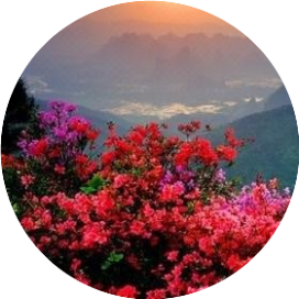 练江河