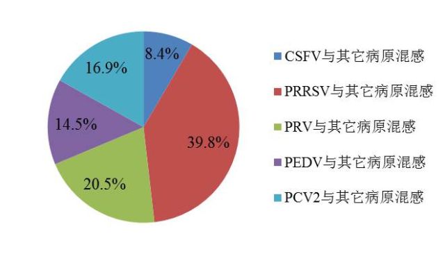 【大数据共享】2017年中科基因对我国猪群常发疫病检测结果统计与分析