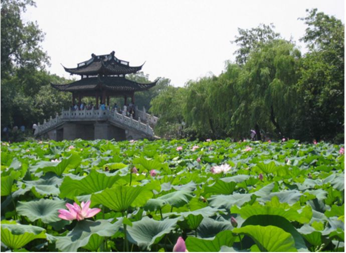 【中科9期】“猪病实验室检测技术培训班”报名开始啦！