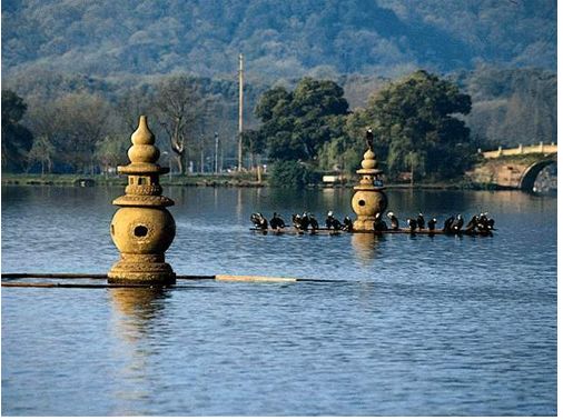 【中科9期】“猪病实验室检测技术培训班”报名开始啦！