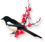 【中科9期】“猪病实验室检测技术培训班”报名开始啦！