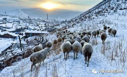 2016�����ɹ�����������ҵͳ�ƹ���