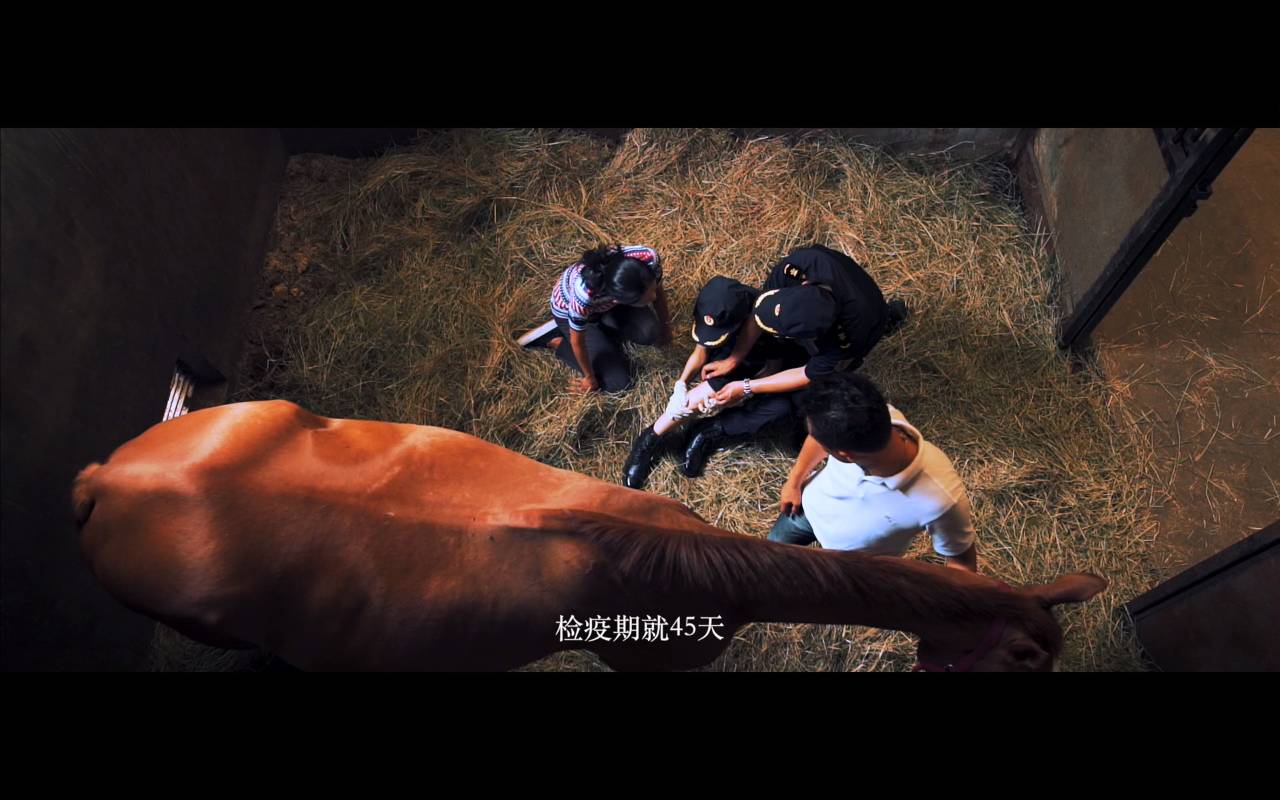 无人机航拍|微电影《隔离期》先睹为快