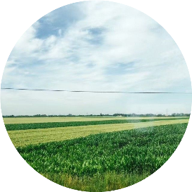 独霸上海的妖怪