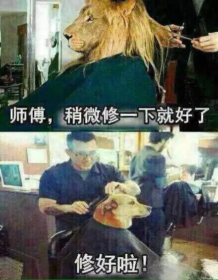 集洗剪吹烫染才华于一身的理发师