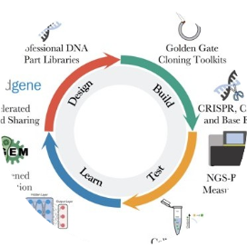 合成生物那么些事