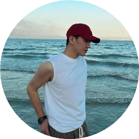 闲云项目分析狮