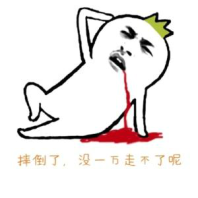 20171111_120806_138.jpg