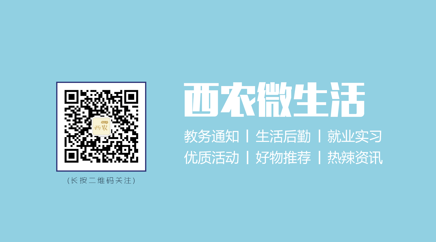 pc端好玩的单机游戏_什么单机游戏好玩_好玩的单机游戏排行榜前十名