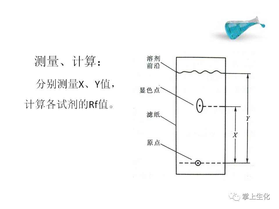 实验五 脂质的提取及薄层层析