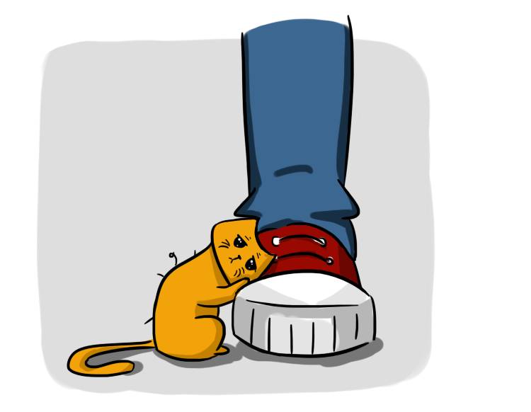 谁说怀孕不能养猫?(爱猫的准妈妈必看)-怀孕期