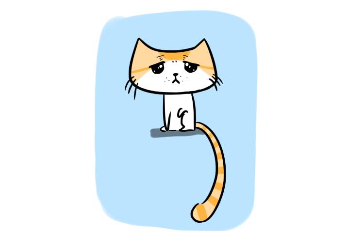 谁说怀孕不能养猫?(爱猫的准妈妈必看)-怀孕期