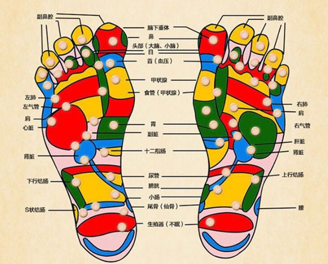 足部有三阴经和三阳经,足底是人的第二个心脏,养足精神,从足底开始