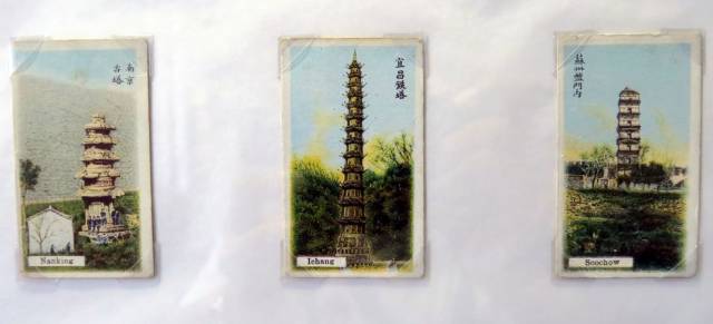 笔画烟草简花怎么画_烟草花简笔画_怎么画烟草花