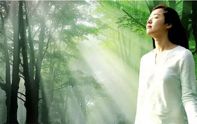 ���������ġ���ζԭ�� ������ʲô��